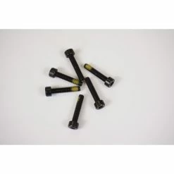 Cane Creek Thudbuster M4x20 Socket Cap SS